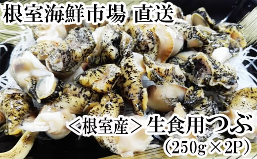 G-28040【年内配送可】  根室海鮮市場<直送>【北海道根室産】生食用灯台つぶ(ボイル済)250g×2P(計500g)北海道根室市10000魚介・海産物貝類