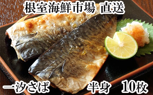 G-11022【年内配送可】  無添加天然サバフィーレ10枚北海道根室市10000魚介・海産物貝類