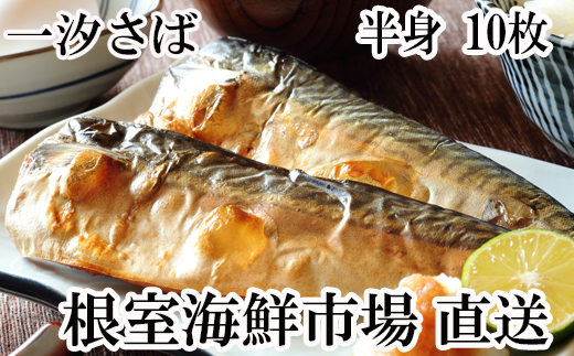 G-28022【年内配送可】  根室海鮮市場<直送>無添加天然サバフィーレ10枚北海道根室市10000魚介・海産物貝類