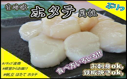 G-59001【年内配送可】 生冷凍ホタテ貝柱300g×1P北海道根室市10000魚介・海産物貝類