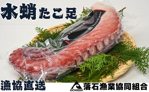 D-20003【年内配送可】 【北海道根室産】ボイル水たこ足4本(計4.5kg)北海道根室市58000魚介・海産物イカ・タコ・ウニ