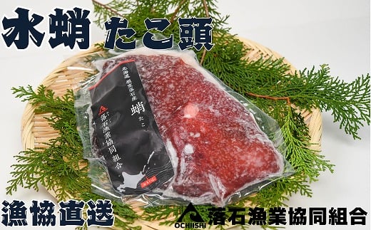 G-20001【年内配送可】 【北海道根室産】ボイル水たこ頭カット2P(計1kg)北海道根室市10000魚介・海産物イカ・タコ・ウニ