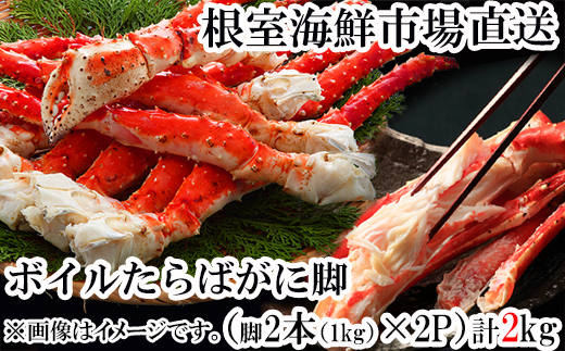 D-28050yNzz  CNsꁃ{C΂ɋr1kg(r2{VN܂)×2P(GAuXg)kCs58000ECYJj