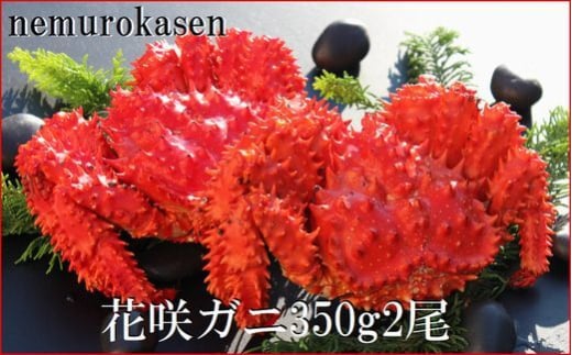 B-57028yNzzykCYzԍKj350g×2kCs23000ECYJj