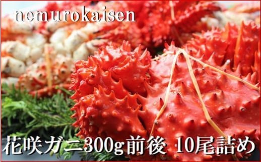 C-57047【年内配送可】【北海道根室産】花咲ガニ300g×10尾北海道根室市29000魚介・海産物カニ