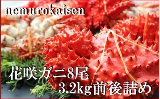 C-57053y12/21܂ŔNzzykCYzԍKj8(v3.2kgO)kCs29000ECYJj