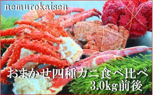 E-57004【年内配送可】おまかせ4種のカニ食べ比べ(計3kg前後)北海道根室市92000魚介・海産物カニ