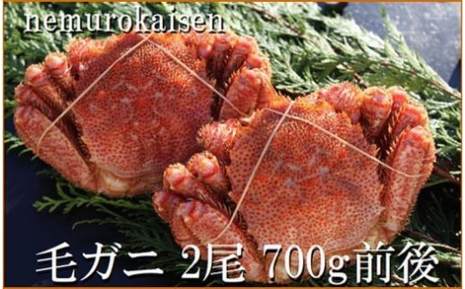 C-57056【12/21まで年内配送】【北海道根室産】毛がに2尾(計700g前後)北海道根室市29000魚介・海産物カニ