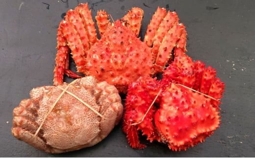 E-57005y12/21܂ŔNzz {^oKj1AԍKj1AуKj1(3v3.4kgO)kCs92000ECYJj