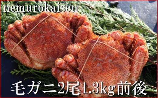 D-57048【年内配送可】 【北海道根室産】毛がに2尾(計1.3kg前後)北海道根室市58000魚介・海産物カニ