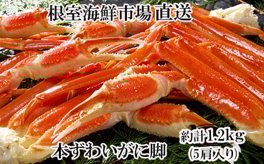 A-14261【12/10まで年内配送】 ボイル本ずわいがに脚5肩(計約1.2kg)北海道根室市14000魚介・海産物カニ