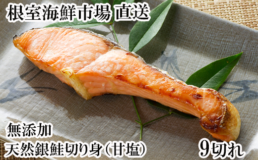 G-14075【12/10まで年内配送】 無添加天然銀鮭切身9切北海道根室市10000魚介・海産物鮮魚