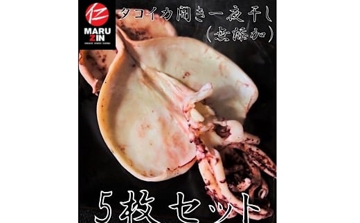 G-50004【年内配送可】 タコイカ開き一夜干し1枚×5P北海道根室市10000魚介・海産物イカ・タコ・ウニ