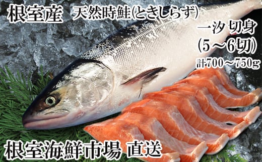 A-14271【12/10まで年内配送】 【北海道根室産】無添加天然時鮭(トキシラズ)半身分切身(5〜6切)北海道根室市14000魚介・海産物鮮魚