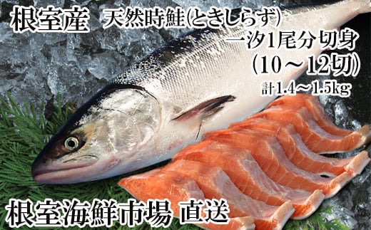 B-14121【年内配送可】 【北海道根室産】無添加天然時鮭(トキシラズ)1尾分切身(10〜12切)北海道根室市23000魚介・海産物鮮魚