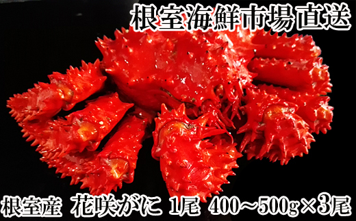 B-11119y12/10܂ŔNzz ykCYzԍKj400`500g×3kCs23000ECYJj