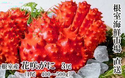 B-14122yNzz ykCYzԍKj400`500g×3kCs23000ECYJj