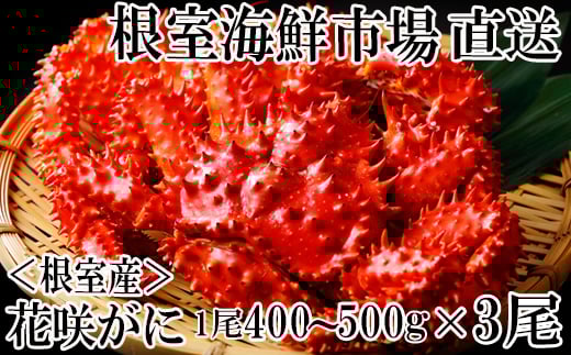 B-28121【12/10まで年内配送】 【北海道根室産】花咲ガニ400〜500g×3尾北海道根室市23000魚介・海産物カニ