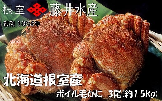 D-42070y12/21܂ŔNzz ykCYz{Cт3(v1.5kg)kCs58000ECYJj