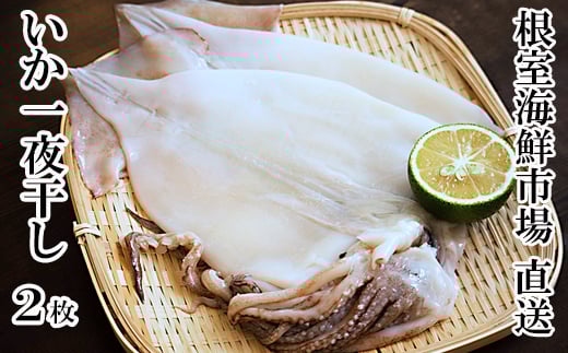G-28079【12/10まで年内配送】 根室海鮮市場<直送>【北海道産】いか一夜干し2枚北海道根室市10000魚介・海産物イカ・タコ・ウニ