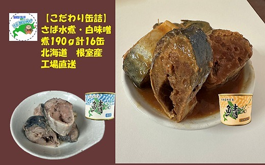 B-78019y12/21܂ŔNzz ykCYzΐρEXσZbgkCs23000ECYL