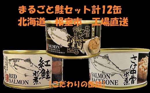 F-78011【年内配送可】 水煮缶詰鮭セット(計12缶)北海道根室市34000魚介・海産物鮮魚
