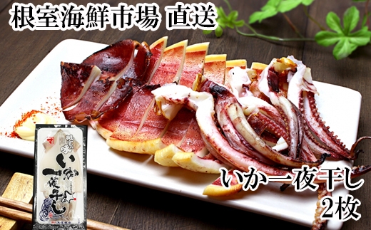 G-11079【12/10まで年内配送】 【北海道産】いか一夜干し2枚北海道根室市10000魚介・海産物イカ・タコ・ウニ