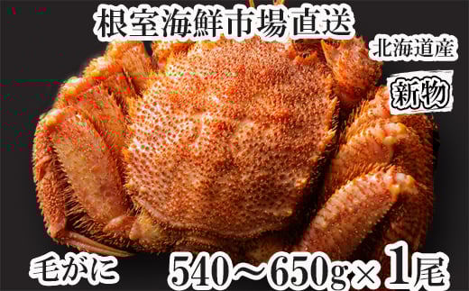 B-11120yNzz {Cт540`650g×1kCs23000ECYJj