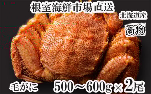 F-11030y12/10܂ŔNzz {Cт500`600g×2kCs34000ECYJj