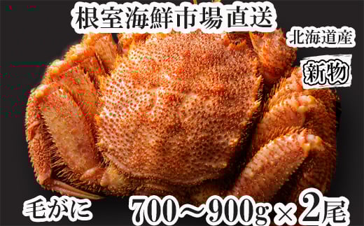 D-11054y12/10܂ŔNzz {Cт700`900g×2kCs58000ECYJj