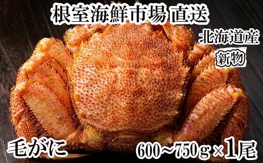 B-28124【12/10まで年内配送】 根室海鮮市場ボイル毛がに600〜750g×1尾北海道根室市23000魚介・海産物カニ