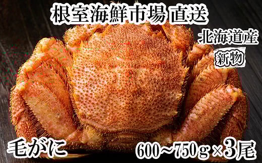 D-28062【12/10まで年内配送】 根室海鮮市場ボイル毛がに600〜750g×3尾北海道根室市58000魚介・海産物カニ