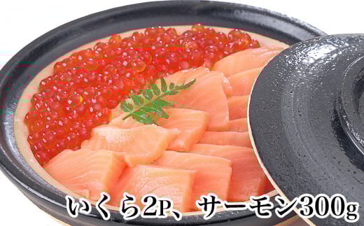 A-81024【年内配送可】 いくら醤油漬け80g×2P・生食可アトランティックサーモン300g前後セット北海道根室市14000魚介・海産物いくら