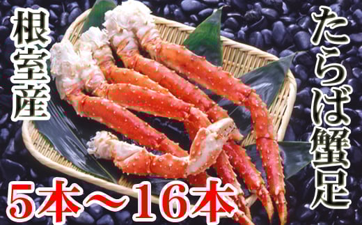 C-36080 yNzz ykCYz{CΊI5`16{(v1`1.2kg)kCs29000ECYJj
