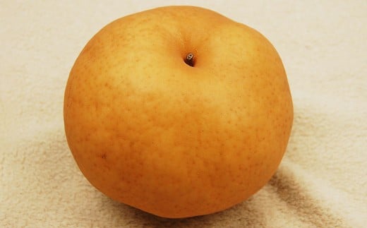あたご梨約4kg 3〜6玉入【2025年11月下旬-12月下旬 発送予定】【梨 なし 果物 フルーツ 国産 人気 おすすめ 岡山県 倉敷市】岡山県倉敷市21000果物・フルーツりんご・梨