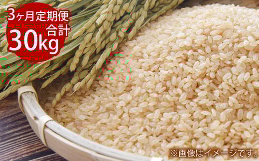 y3ցz3A Rq~sY ʂނ  10kg  v30kgy2025N101ڔJnzRq~s75000āEpāEGāEāE