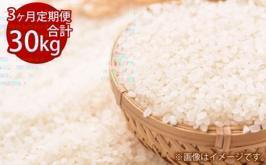 【3ヵ月定期便】3回連続 岡山県倉敷市産 きぬむすめ 10kg 白米 計30kg【2025年10月より1回目発送開始】岡山県倉敷市85500米・パン白米