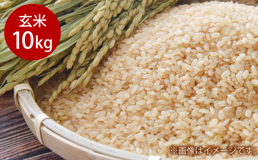 令和7年産 岡山県倉敷市産 きぬむすめ 玄米 10kg【2025年10月上旬より発送開始】岡山県倉敷市25000米・パン玄米・雑穀米・もち米・餅