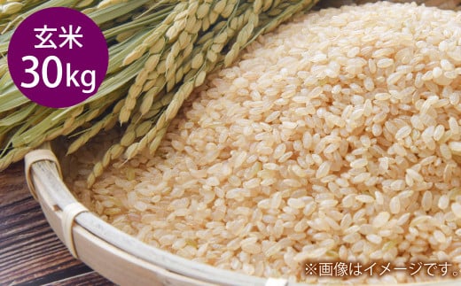 令和7年産 岡山県倉敷市産 きぬむすめ 玄米 30kg【2025年10月上旬より発送開始】岡山県倉敷市71500米・パン玄米・雑穀米・もち米・餅