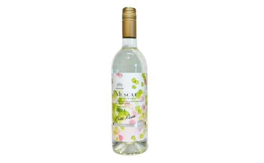 ӂȂCi[ }XJbgEIuEALThA t[yɊÌz 750ml×1{iϔjyC Xp[NOC ӂȂCi[   R q~s lC