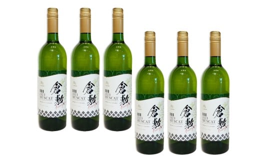 ふなおワイナリー マスカット・オブ・アレキサンドリア【やや甘口】 750ml×6本【ワイン スパークリングワイン ふなおワイナリー お酒 酒 さけ岡山県 倉敷市 人気 おすすめ】岡山県倉敷市820