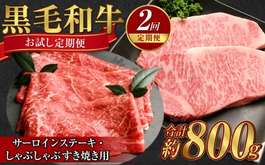 【定期便2か月】岡山 黒毛和牛 美星牛 A4等級以上 牛脂付き お試し定期便 合計約800g 生産者直送便 美星町 美星牧場 定期便【黒毛和牛 肉 牛 岡山県 倉敷市 おすすめ 人気】岡山県倉敷市54000