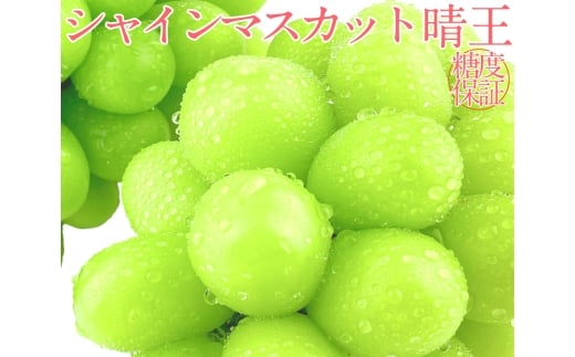 《2026年発送》シャインマスカット 晴王 2房 約1.4kg 2回 定期便 7月・8月に1回ずつお届け 【シャインマスカット マスカット ぶどう 葡萄 岡山県産   種無し 皮ごと食べる みずみずしい フレッ
