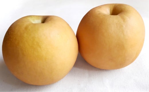 あたご梨 3〜6玉 約4kg 【2025年11月下旬〜12月下旬迄順次発送予定】 梨 なし ナシ 果物 フルーツ 岡山県 倉敷市岡山県倉敷市19500果物・フルーツりんご・梨