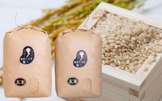 備前乙女米 玄米 10kg×2袋 合計20kg 米 お米 コメ 特A 岡山県 倉敷市【2025年10月下旬-2026年9月下旬発送予定】岡山県倉敷市37500米・パン玄米・雑穀米・もち米・餅