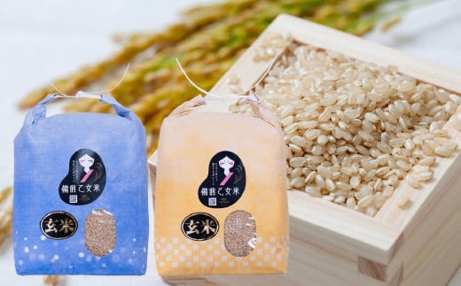 O  5kg×2 v10kg   R A R q~sy2025N10{-2026N9{\zRq~s21000āEpāEGāEāE