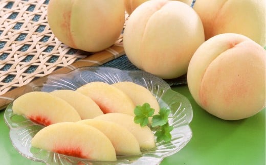 RiiFP/[┒j5~7 v1.5kgȏ     t[c ʕ ʎ ϔ i 蕨 R q~sy2026N7{`7{܂ŏ\zRq~s15