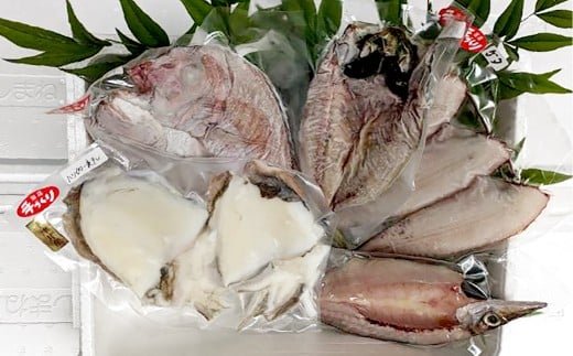 【倉敷市下津井産】おまかせ一夜干し5点セット 4種 天然鯛 干し魚 一夜干し 干物 魚 魚介 海産物 詰め合わせ 食べ比べ セット 岡山県 倉敷市岡山県倉敷市22000魚介・海産物鮮魚