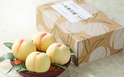 䓪hʉ  1.3kgy2026N7{`8{܂ŏ\zy ʕ t[c Y lC  R q~szRq~s20000ʕEt[cE