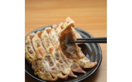 馬肉餃子 80個 餃子 ぎょうざ熊本県高森町15000肉ジビエ
